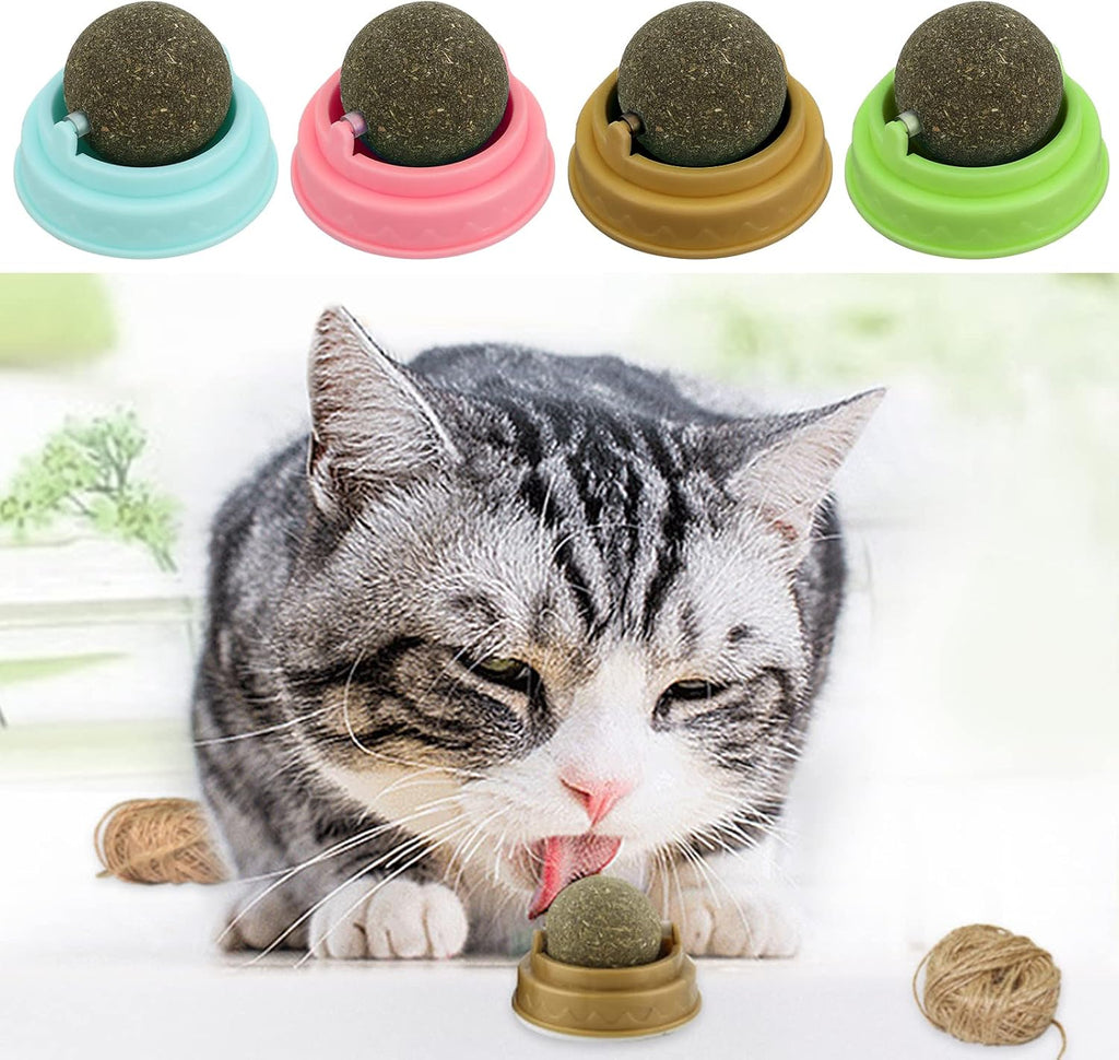 4er Set Katzenminze Spielbälle drehbar | Catnip Balls für Katzen