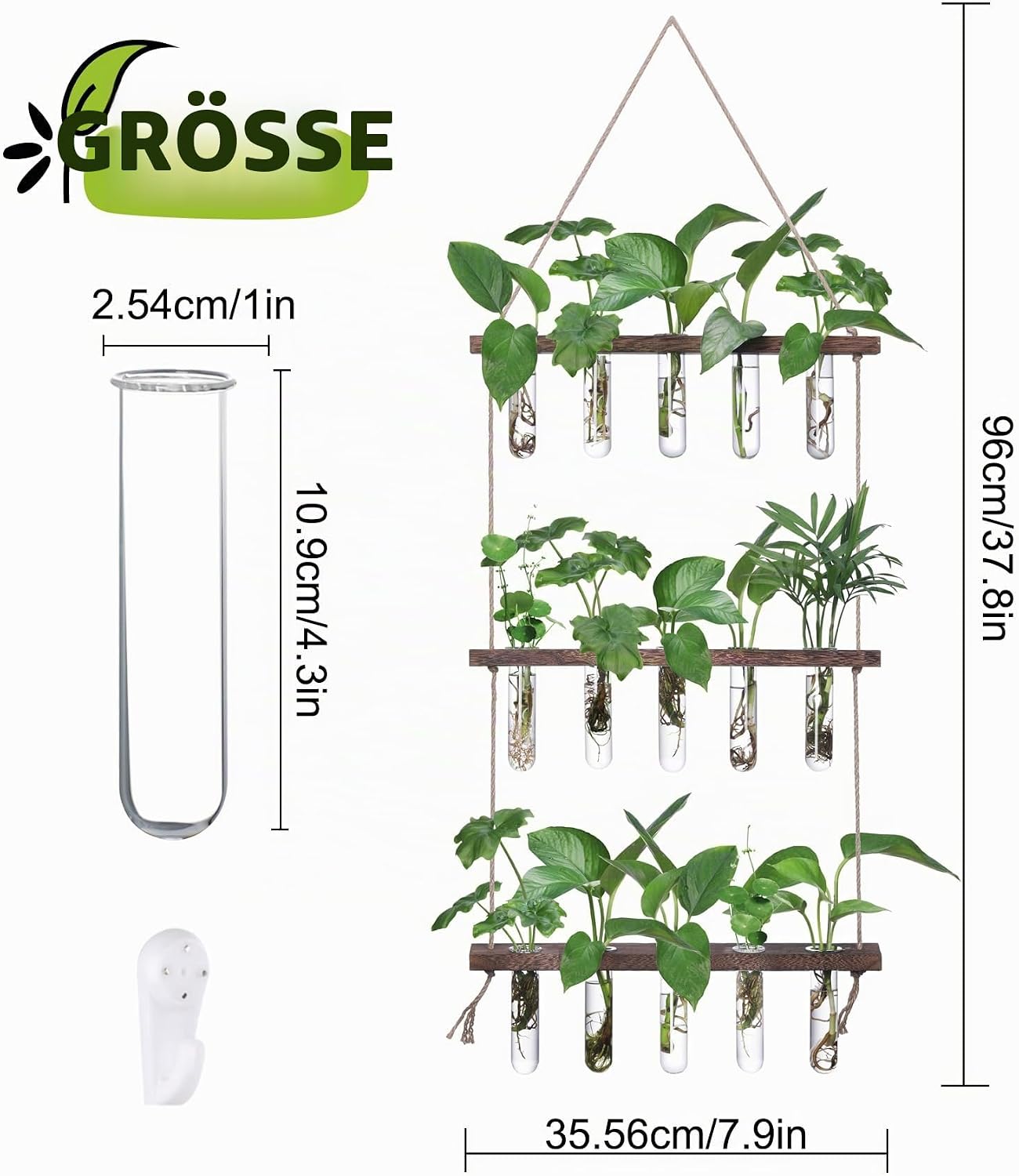 XXXFLOWER Reagenzglaeser 3x5 mit Staender Glas Vase Hydrokultur Stecklinge