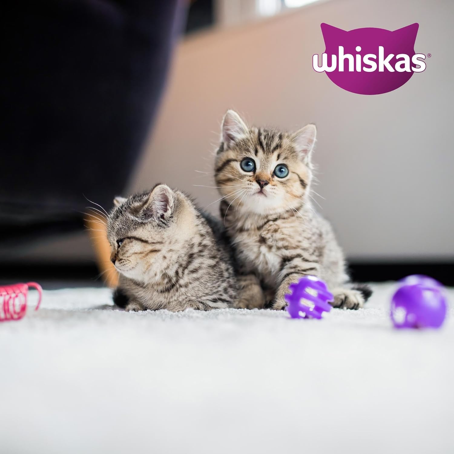 Whiskas Junior Katzenfutter Nassfutter 48 x fuer Kaetzchen 2-12 Monate