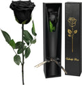Yamonic Infinity Rose mit Stiel - Ewige Rose Geschenk fuer Frau Valentinstag