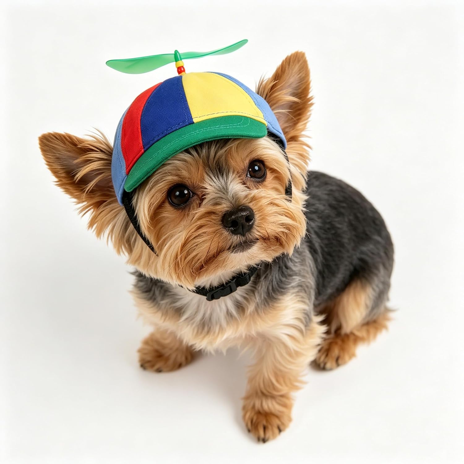 Propeller Muetze Hund Katze verstellbar S-L Baumwolle Sonnenhut bunt