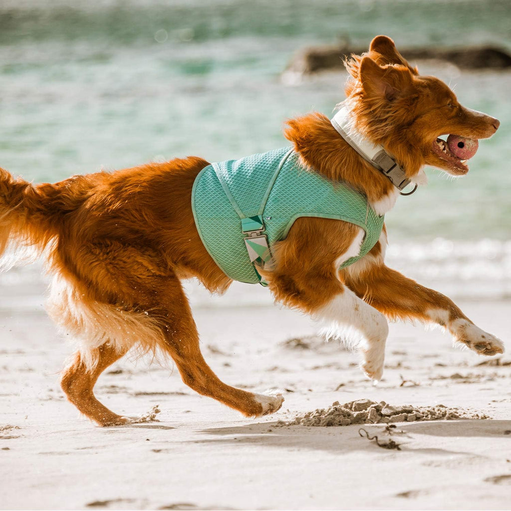 Hurtta Kuehlweste Hund Aquamarin Gr. 50cm-95cm fuer heissen Sommer