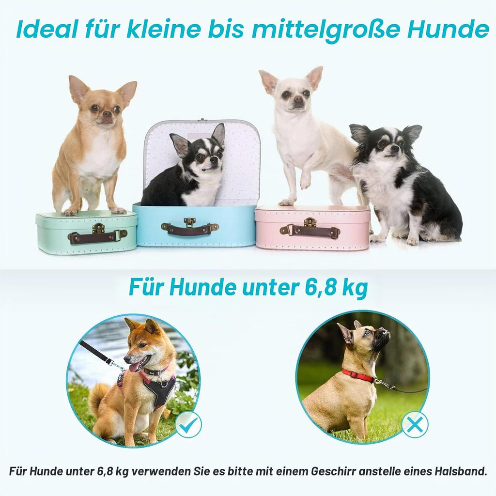 oneisall Hundeleine 2,5 m verstellbar Nylon Führleine Übungsleine schwarz