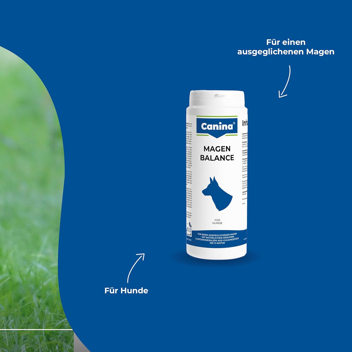 Canina Magen Balance Pulver 250 g Verdauungstuetze fuer Hunde Katzen