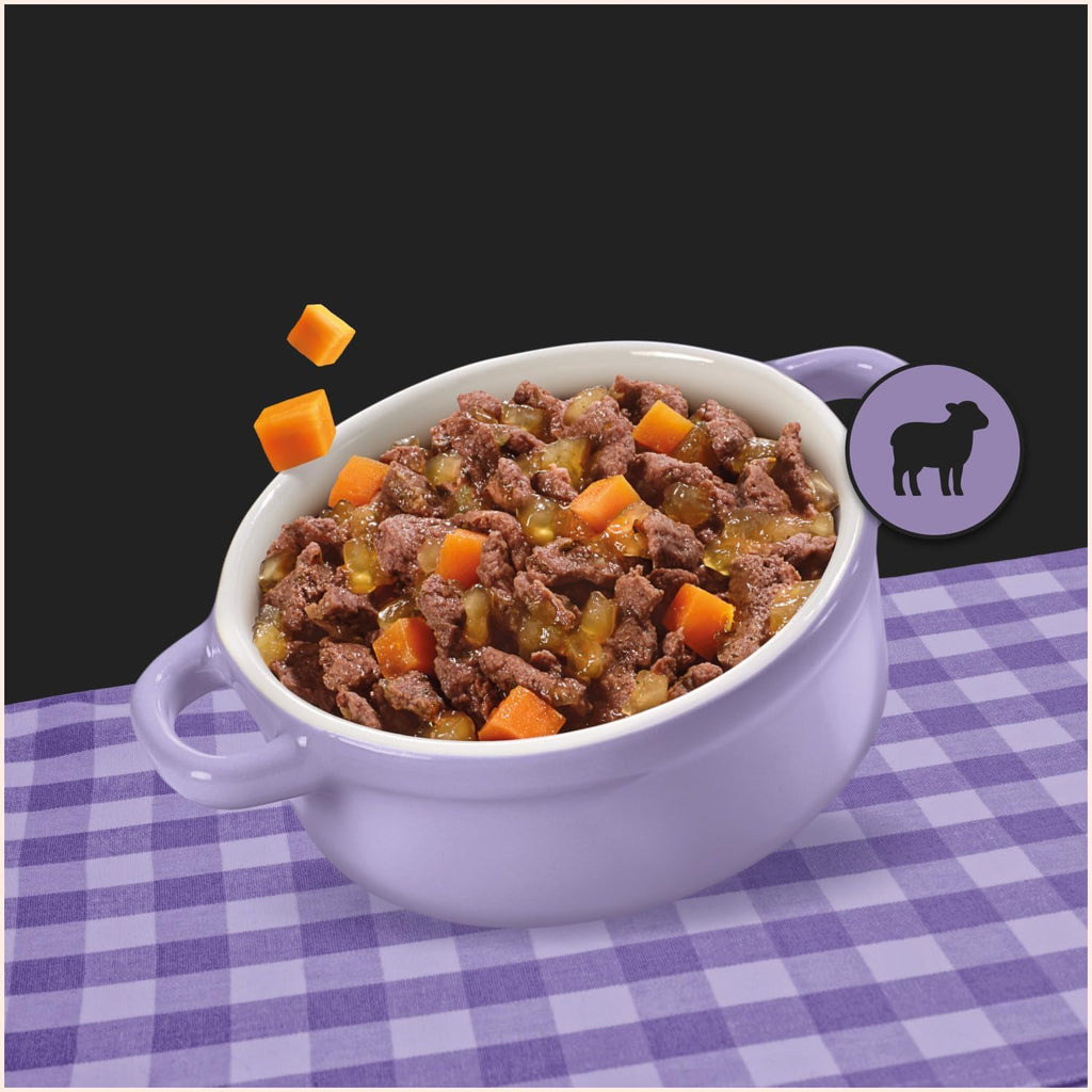 Cesar Hundefutter Nassfutter 24x100g verschiedene Sorten in Sauce