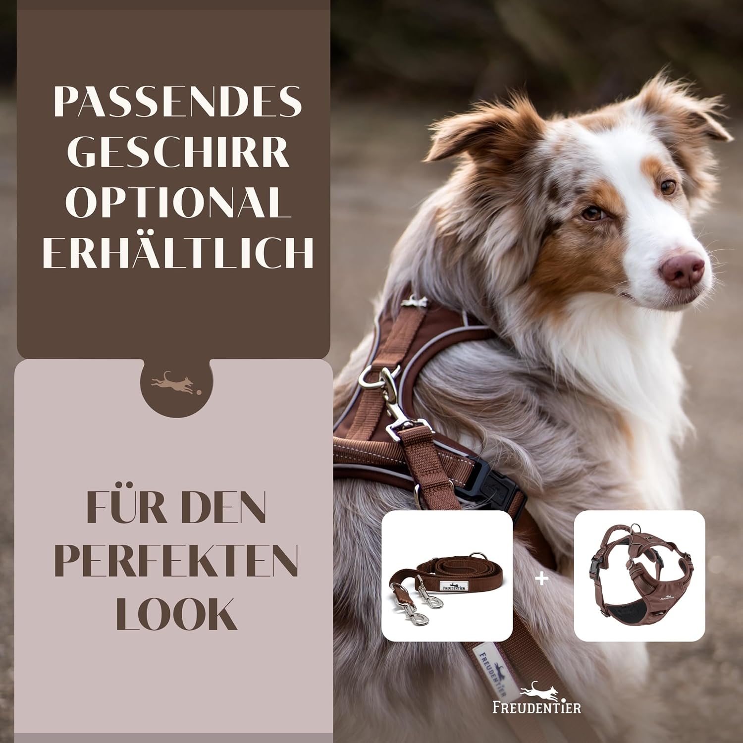 Freudentier Hundeleine Clyde 20 mm braun gepolstert verstellbar 2m