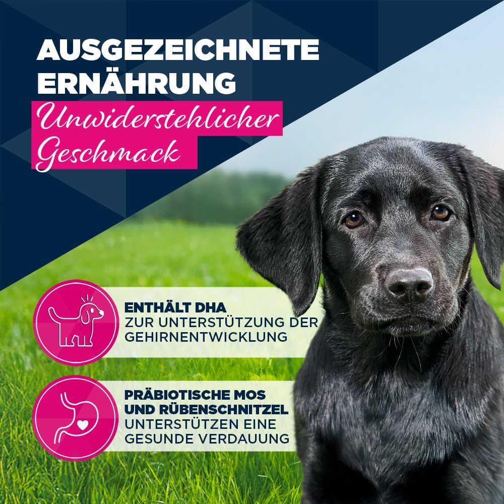 Eukanuba Welpen Nassfutter Lamm & Kartoffel 6x400g () verschiedene Sorten