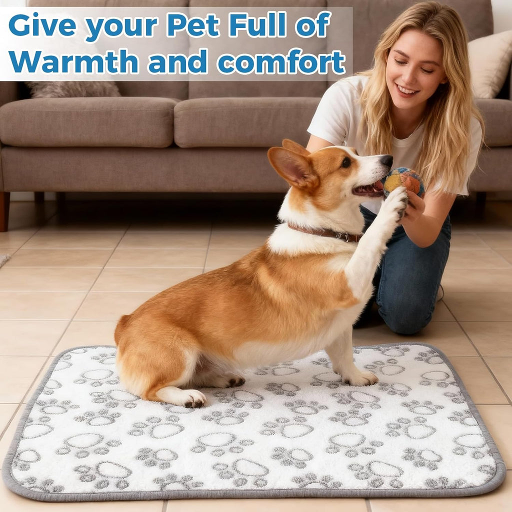 Kuscheldecke 40x60 cm fuer Hunde & Katzen, flauschig, waschbar, grau