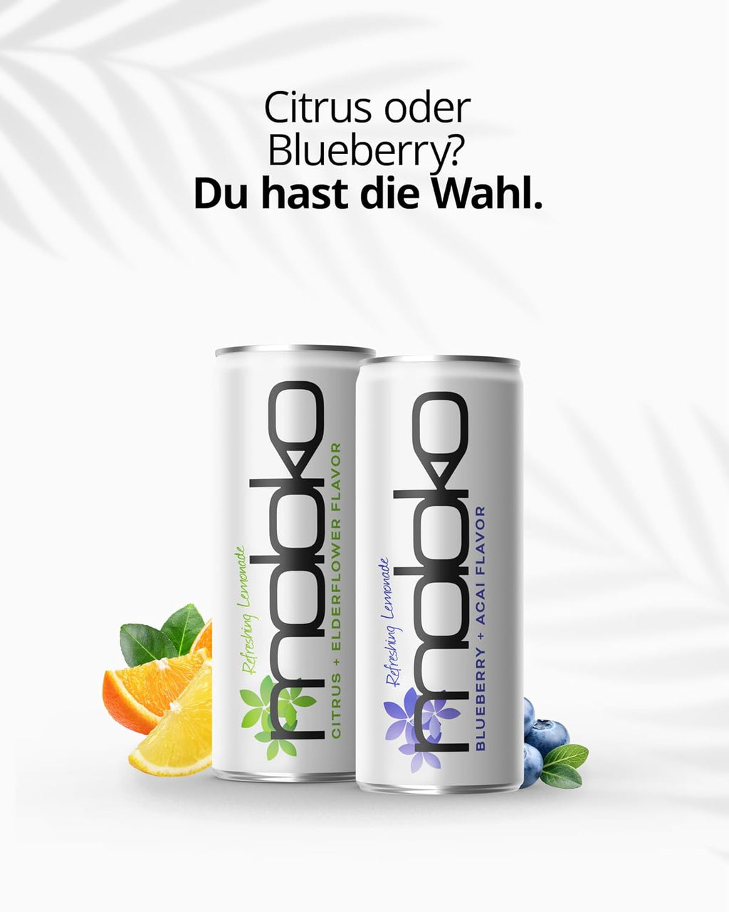 Moloko Mango Kalamansi Getraenk 24 x 250 ml Dose Erfrischungsgetraenk