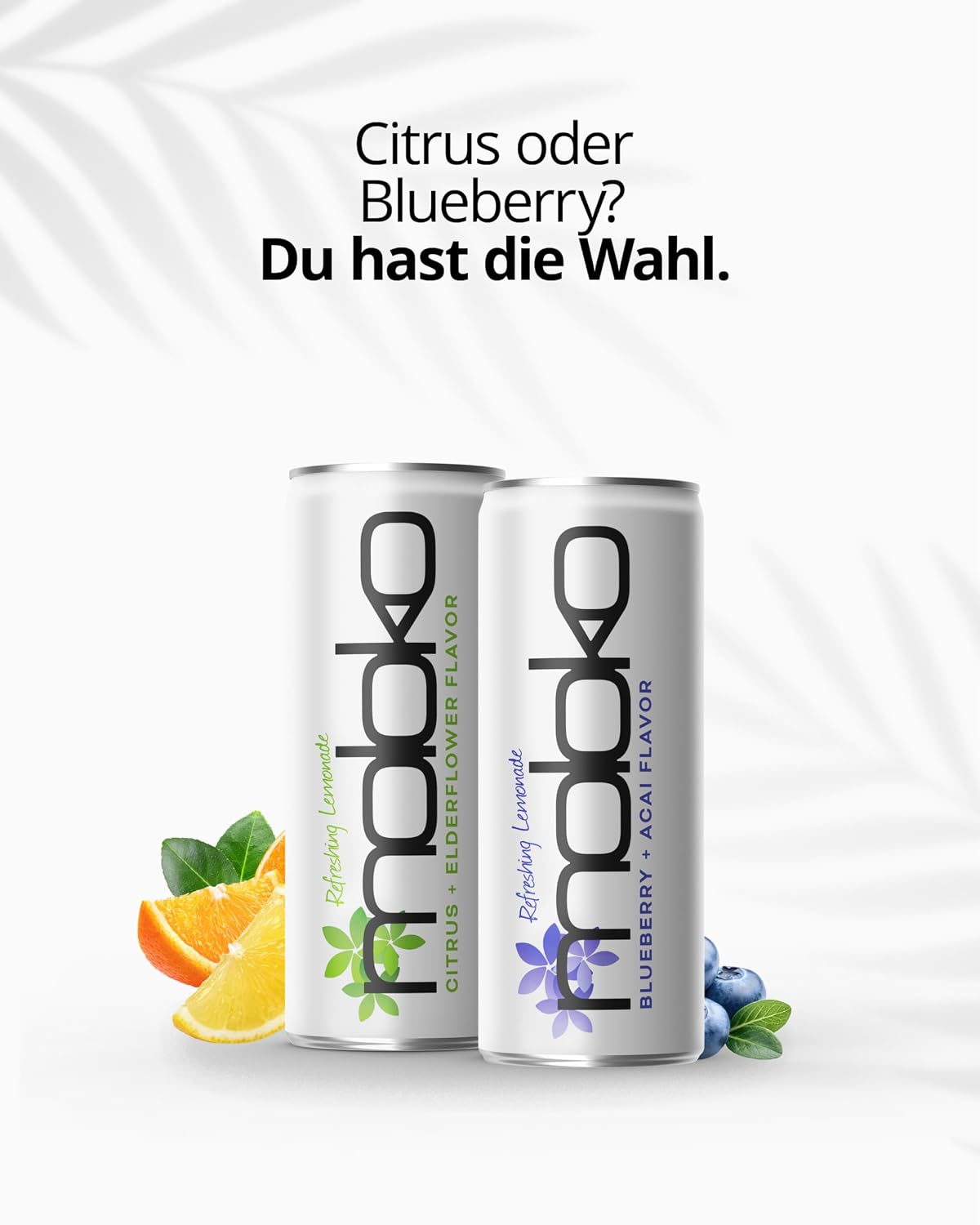 Moloko Mango Kalamansi Getraenk 24 x 250 ml Dose Erfrischungsgetraenk