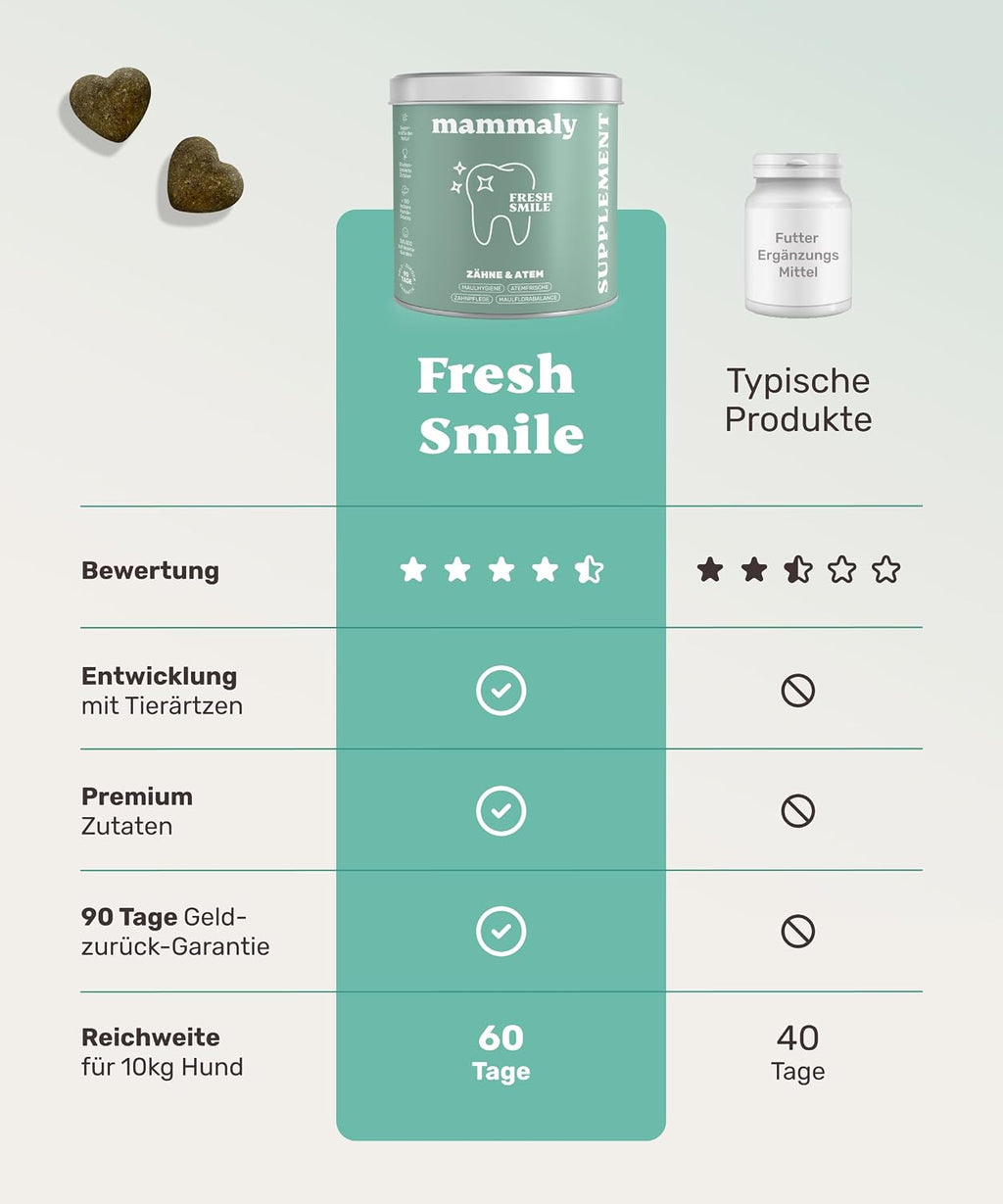 mammaly Fresh Smile Hundezahnpflege Leckerli 10-in-1 verschiedene Sort