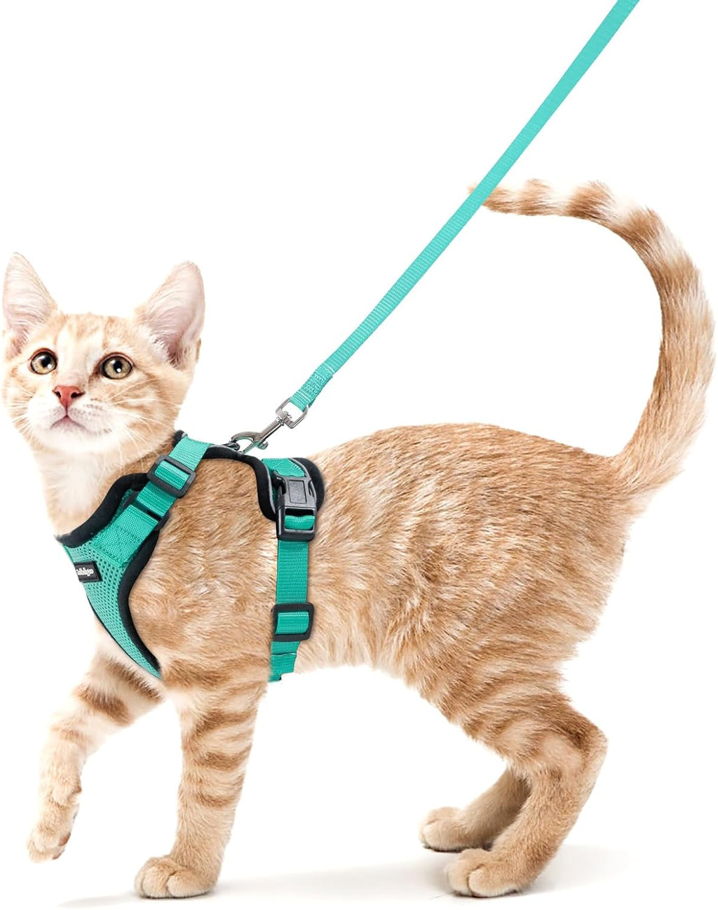 rabbitgoo Katzen Geschirr mit Leine verstellbar reflektierend weich XS Schwarz
