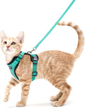 rabbitgoo Katzen Geschirr mit Leine verstellbar reflektierend weich XS Schwarz