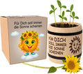 Sonnenblumen Anzuchtset mit Holztopf - Pflanzset Geschenk fuer Garten