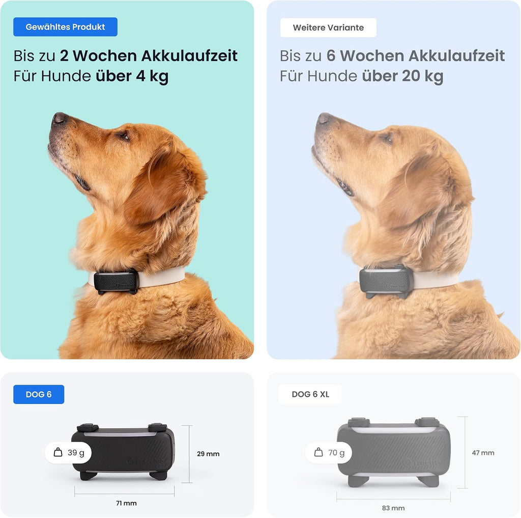 Tractive GPS Tracker 2025 Edition fuer Hunde Schwarz mit Live-Ortung