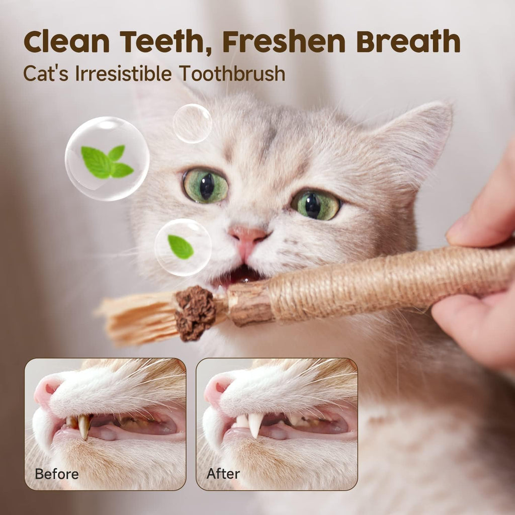 Katzenminze Sticks 3er Set Kauholz Zahnpflege Spielzeug fuer Katzen