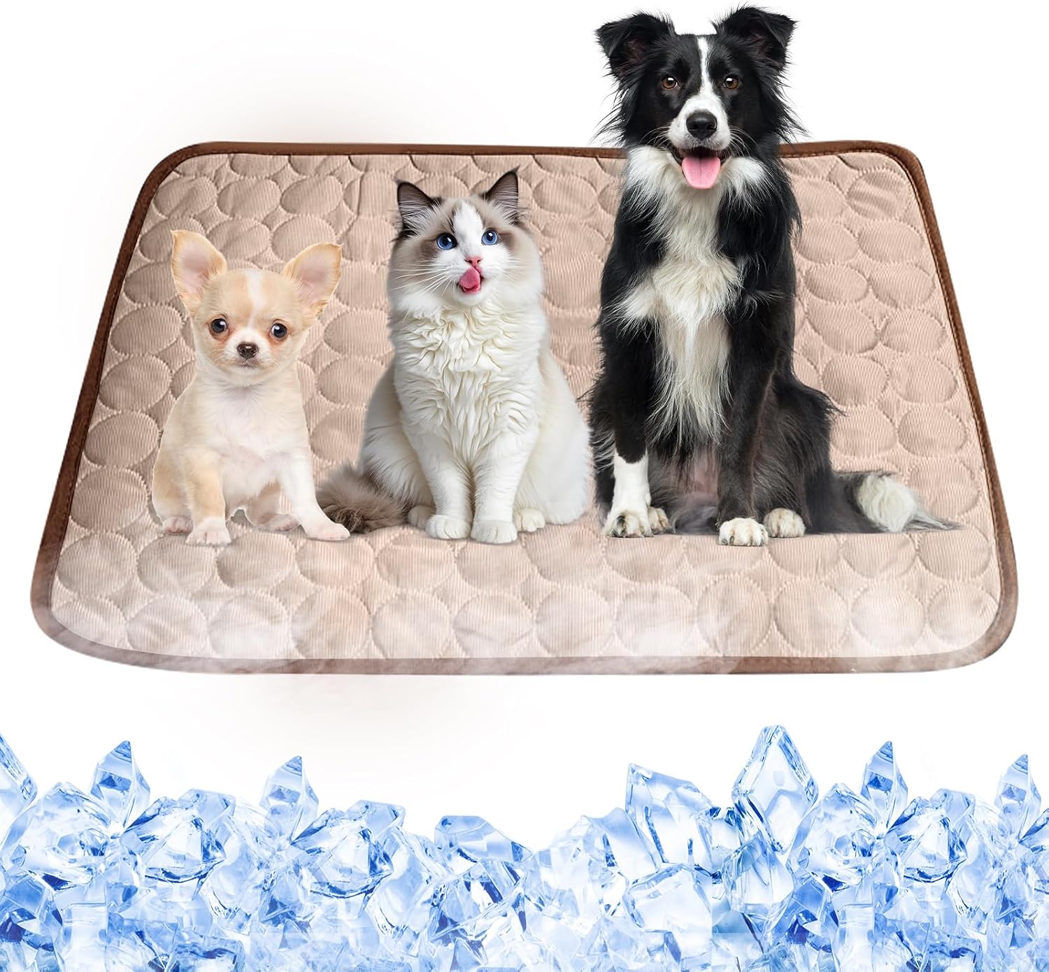 Kuehlmatte Hunde 70×55 cm blau - kuehlende Hundedecke abwischbar robust