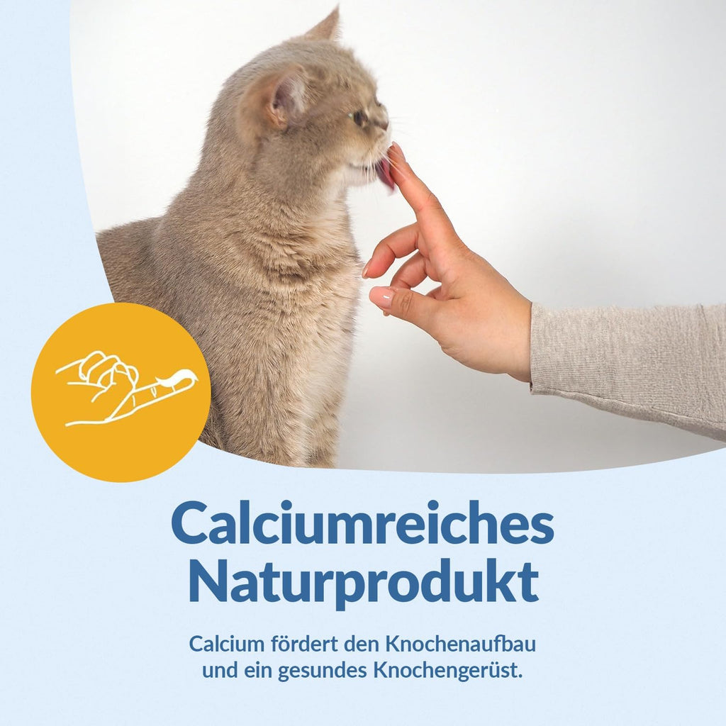 GimCat Pudding mit Calcium Katzensnack laktosereduziert Vollmilch