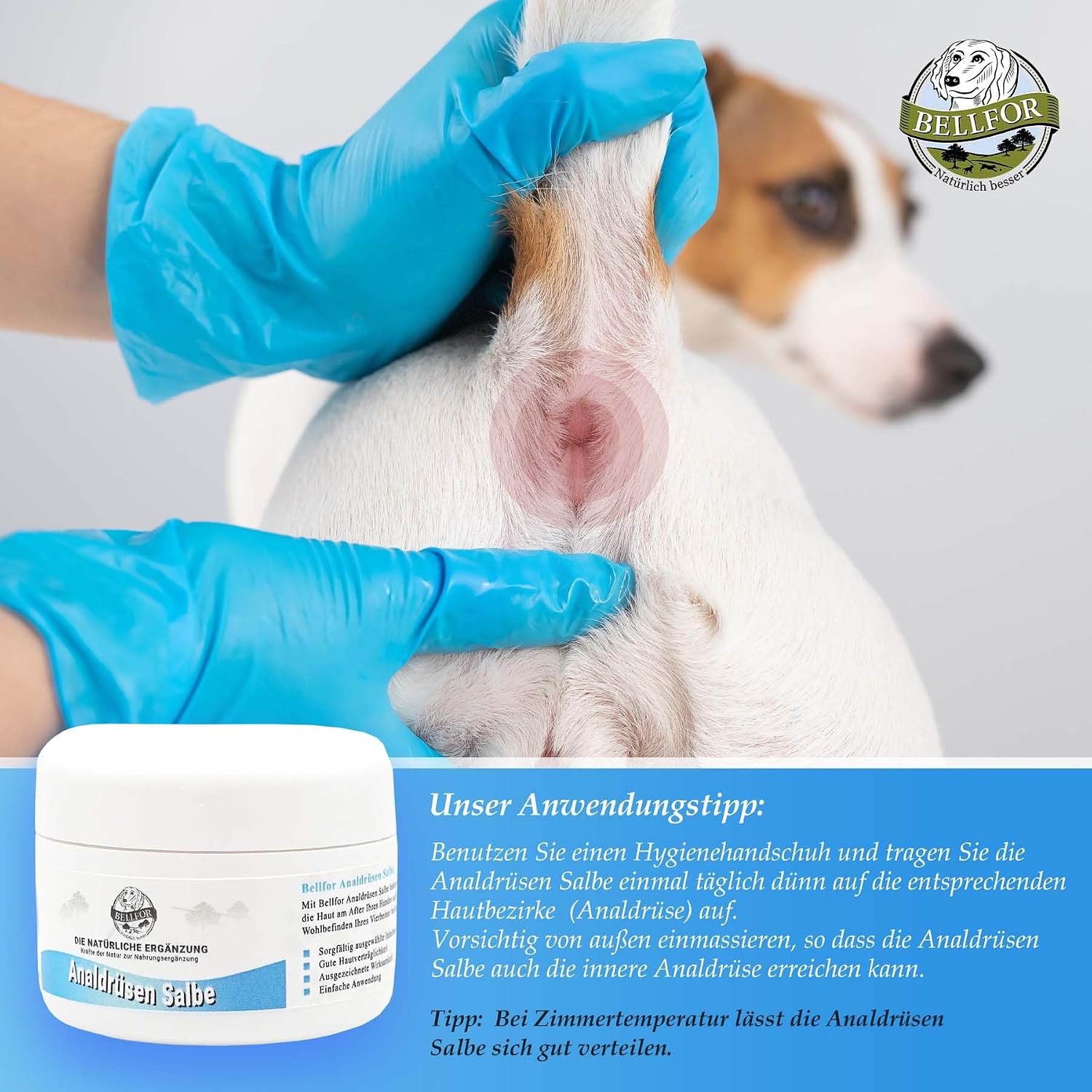 Bellfor Analdruesen Salbe fuer Hunde - Natuerliche Pflege fuer die empfindlich