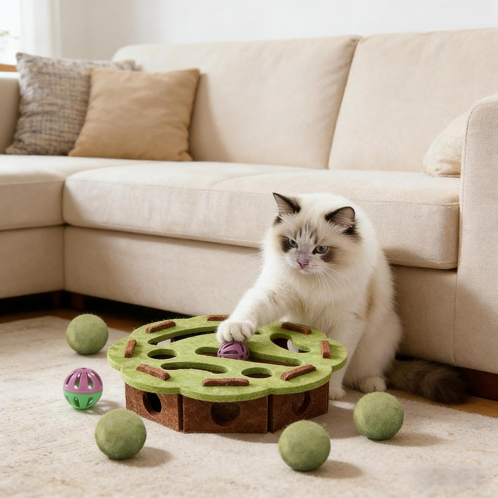 Intelligenzspielzeug für Katze Fummelbrett Labyrinth Kratzbox Filz