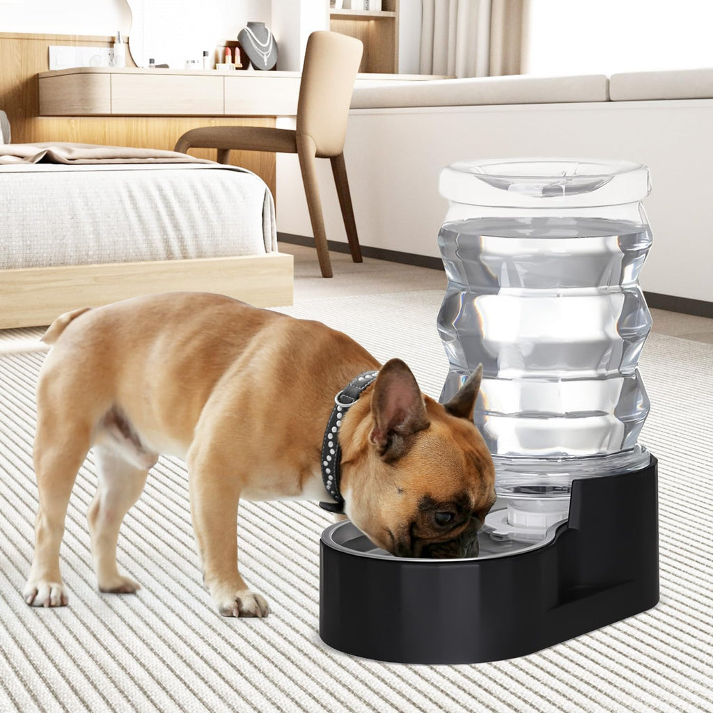Sfozstra Automatischer Wasserspender Hund Edelstahl Schwarz Aktivkohle