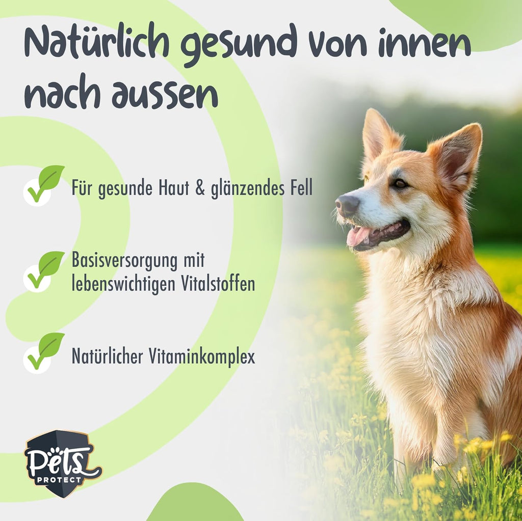 Planty Crunch Veganes Hundefutter getreide- & sojafrei fuer Allergiker