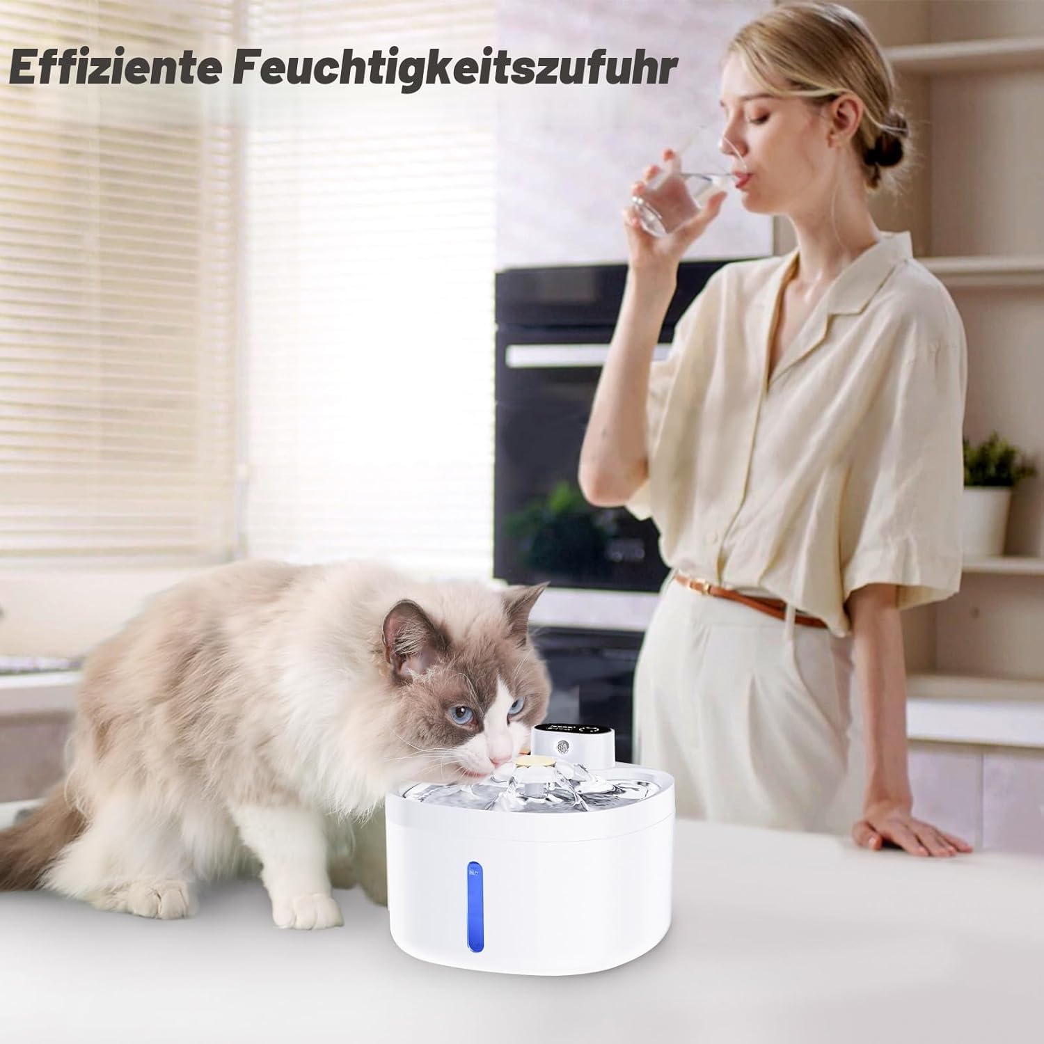 Katzenbrunnen 2,6L mit 4 Filtern 4000mAh Akku leise und batteriebetrieben