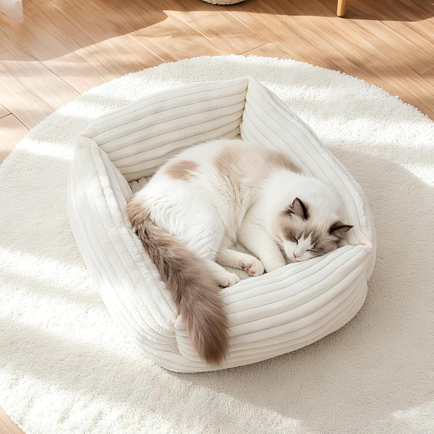 XIAPIA Katzenbett Plüsch 55x42x18 cm Orthopädisch Weich Warm Weiß