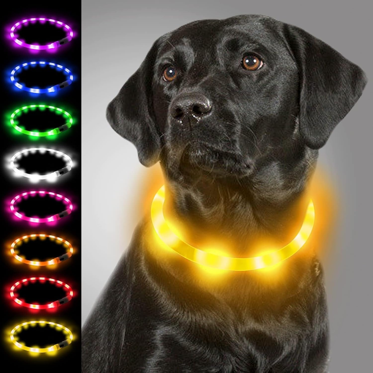 Joytale LED Leuchthalsband USB aufladbar Rosa - 3 Modi fuer kleine bis grosse Hund