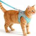 Katzengeschirr verstellbar mit Leine Set Katzen Spaziergang Brustgurt