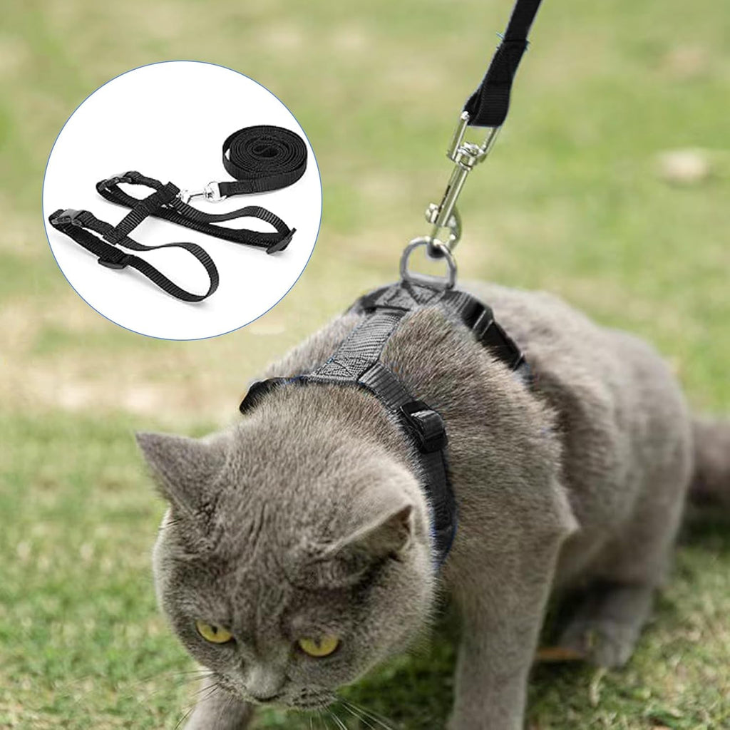 Katzengeschirr verstellbar mit 120 cm Leine ausbruchsicher für Katzen und Kaninc