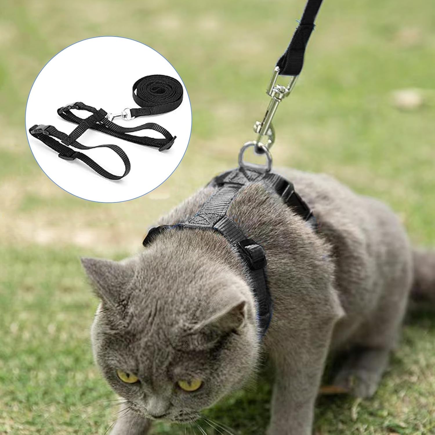Katzengeschirr verstellbar mit 120 cm Leine ausbruchsicher für Katzen und Kaninc