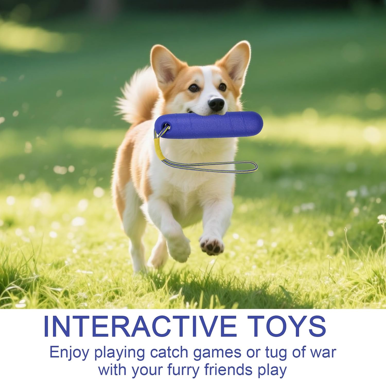 Wasserspielzeug Hund 22 cm mit Nylonseil fuer mittelgrosse und grosse Hunde Gelb