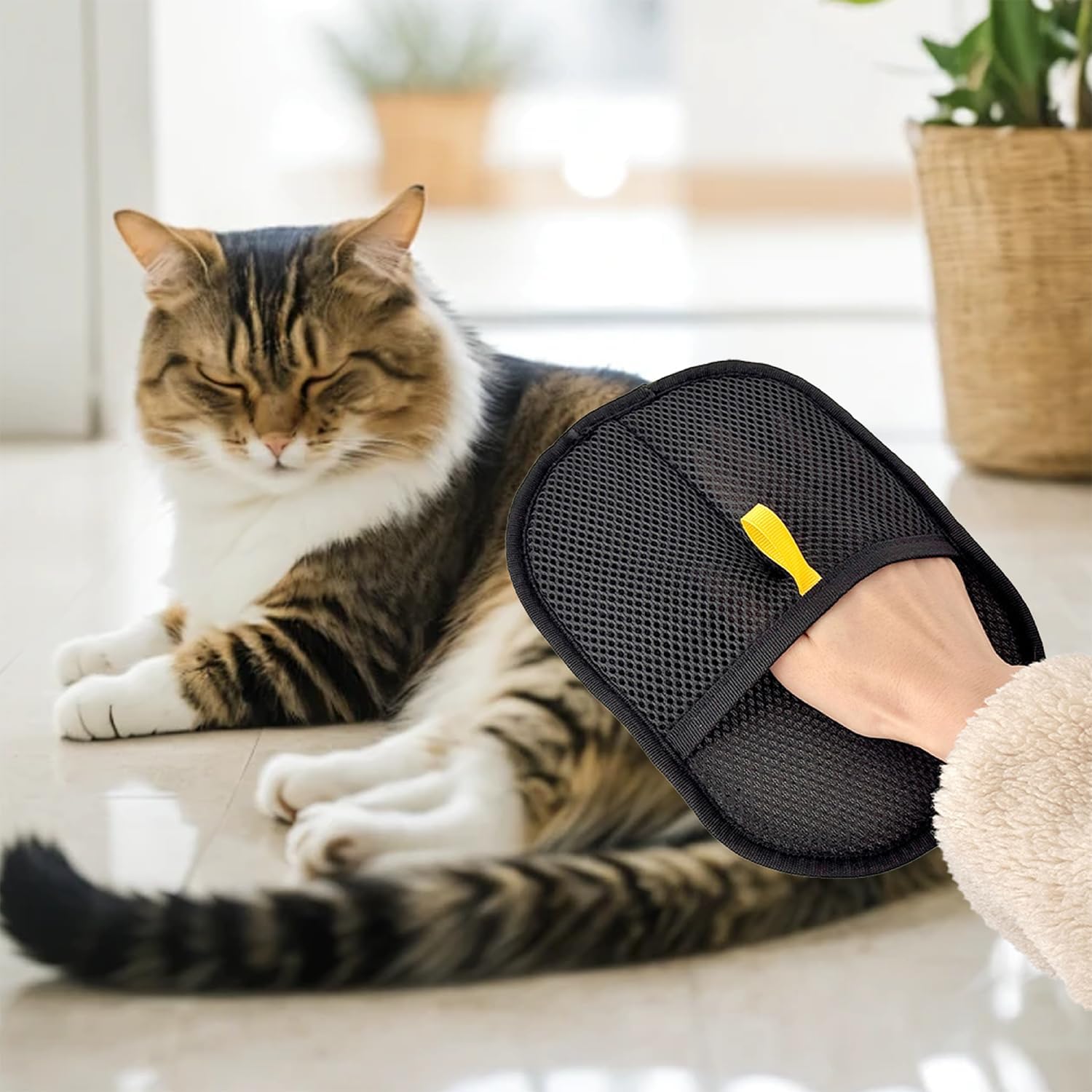 Tierhaarentferner Handschuh 2er Set für Hund Katze Elektrostatisch Sofa Teppich