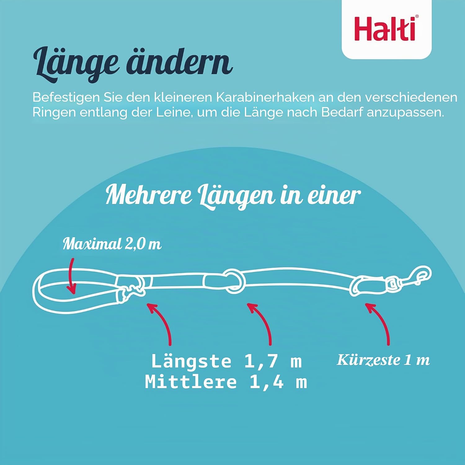 Halti Doppelführleine 2 m Waldgrün Neopren gepolstert Größe Groß S-L