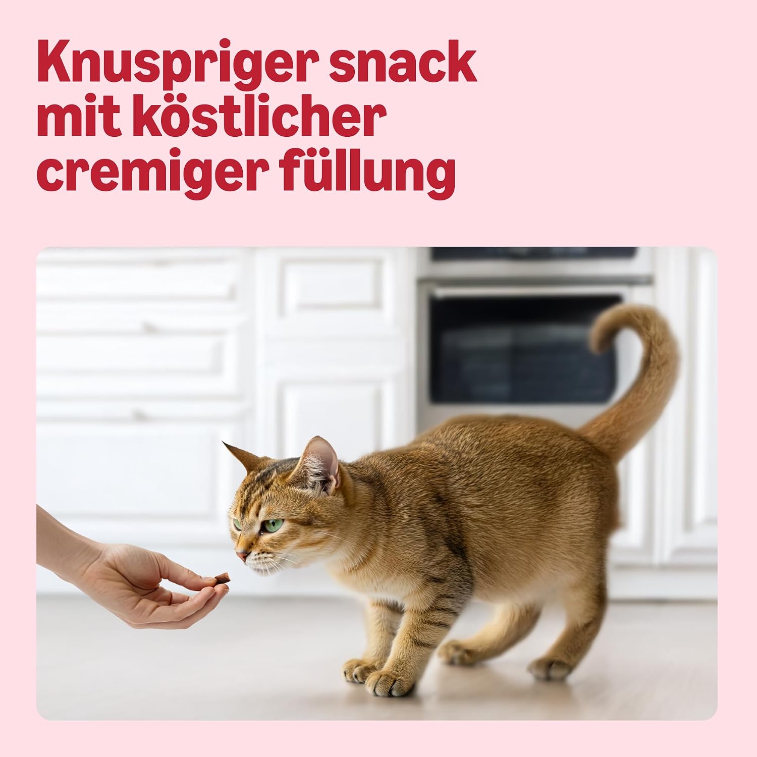 by Amazon Katzensnacks Verschiedene Sorten Ente Truthahn Huhn