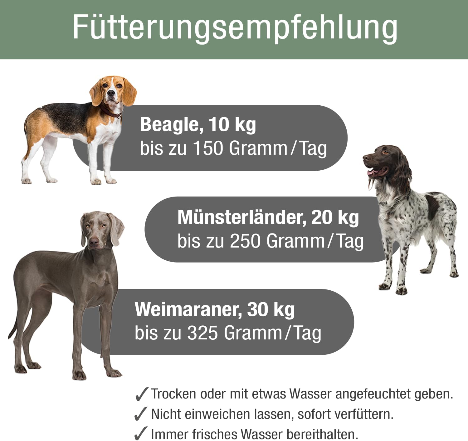Hundenahrung Adult Chicken 5kg Trockenfutter Fleischsaftgarung nährstoffreich