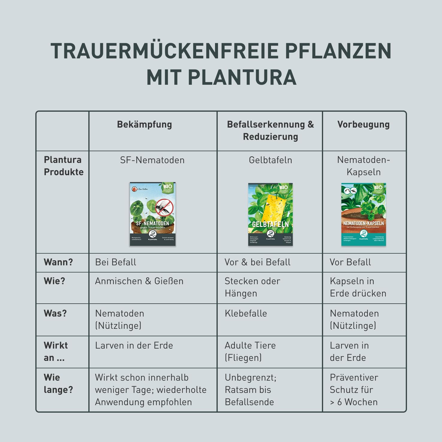 Plantura Nematoden gegen Trauermuecken zum Giessen 5 Mio fuer 5 m² (ca. 50 Pflanzen