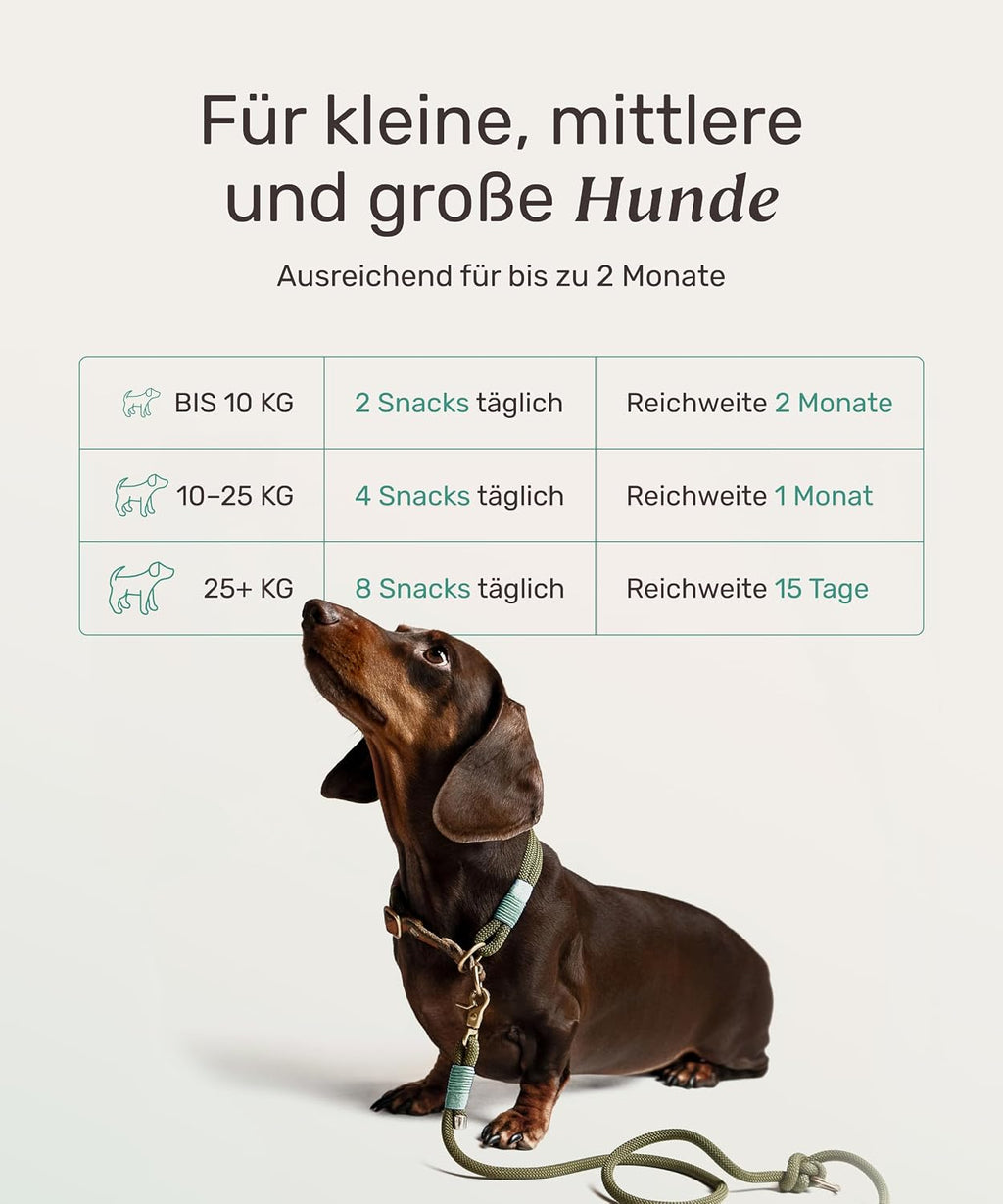 mammaly Fresh Smile Hundezahnpflege Leckerli 10-in-1 verschiedene Sort