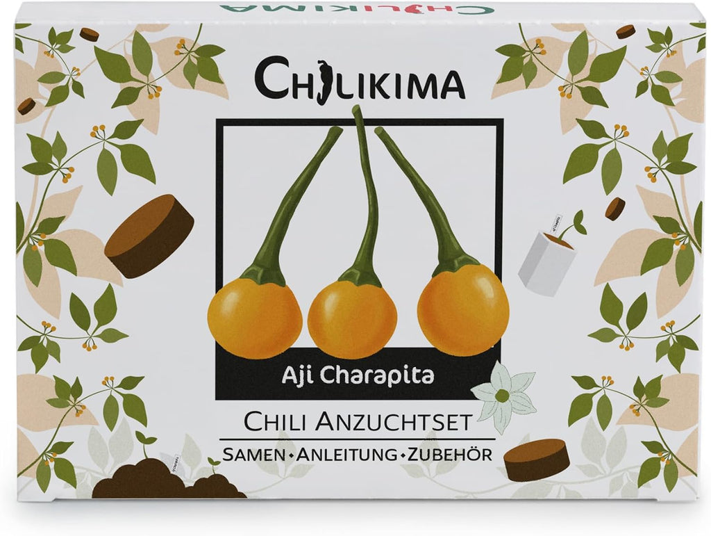 Aji Charapita Chilisamen Anzuchtset Starter Kit Chili Pflanzen ziehen