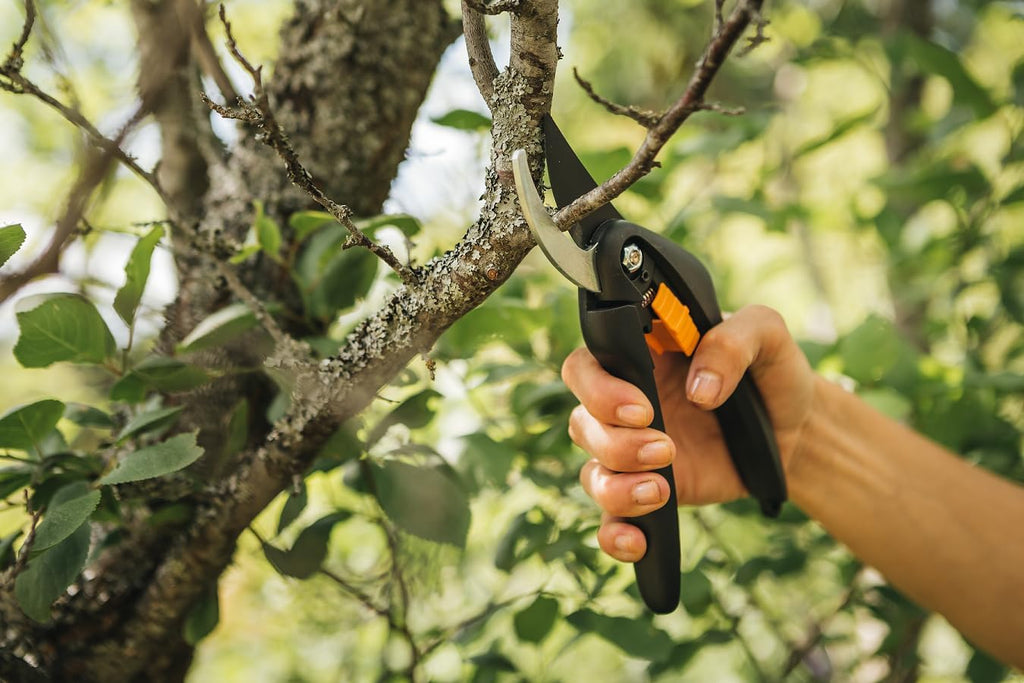 Fiskars Bypass-Gartenschere P26 20 cm Antihaft Stahlklingen Schwarz/Orange
