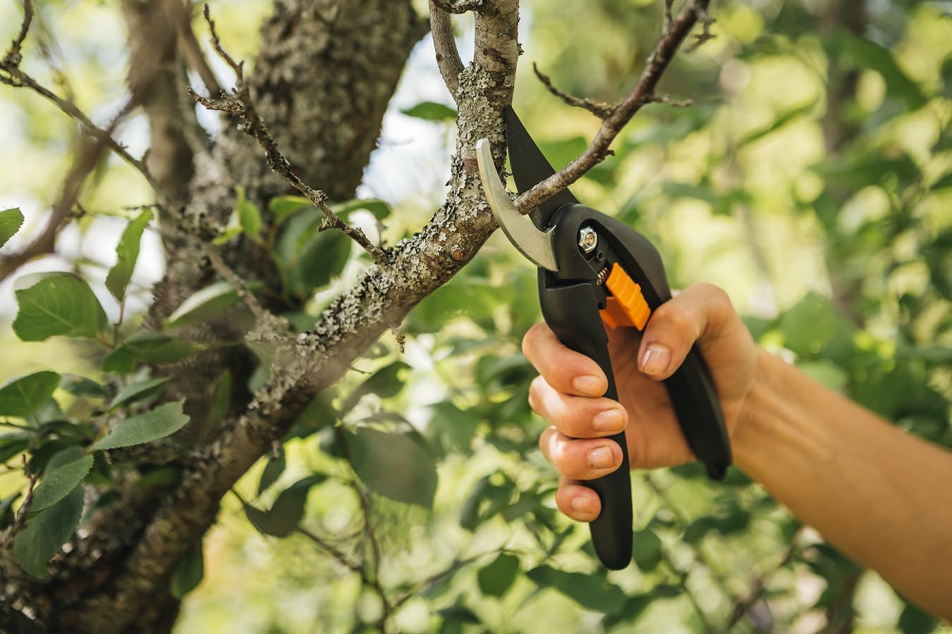 Fiskars Bypass-Gartenschere P26 20 cm Antihaft Stahlklingen Schwarz/Orange