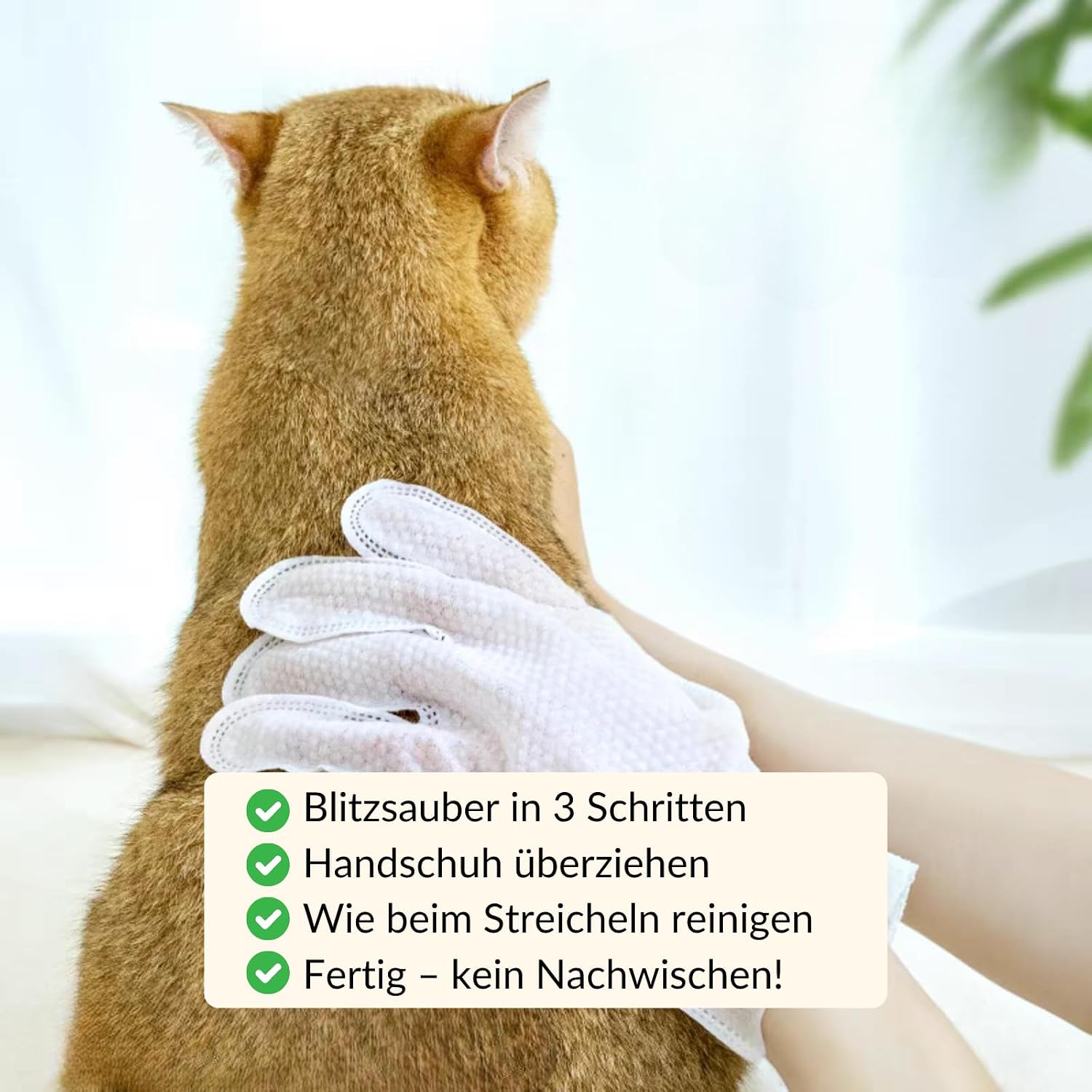 Feuchttuecher fuer Katzen und Hunde XXL 36 Stueck Handschuhe Fellpflege Massage