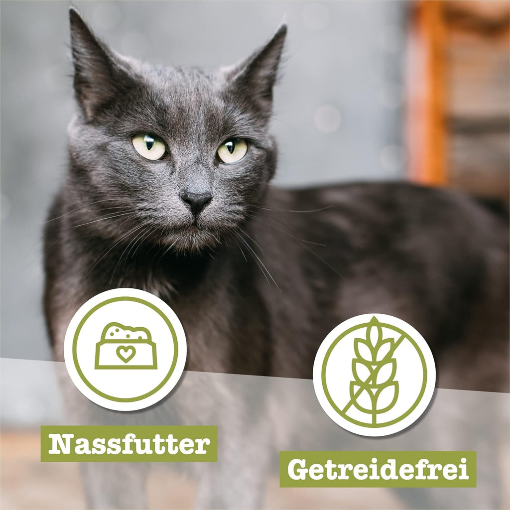 catz finefood Senior Collection Katzenfutter nass 6x200g getreidefrei