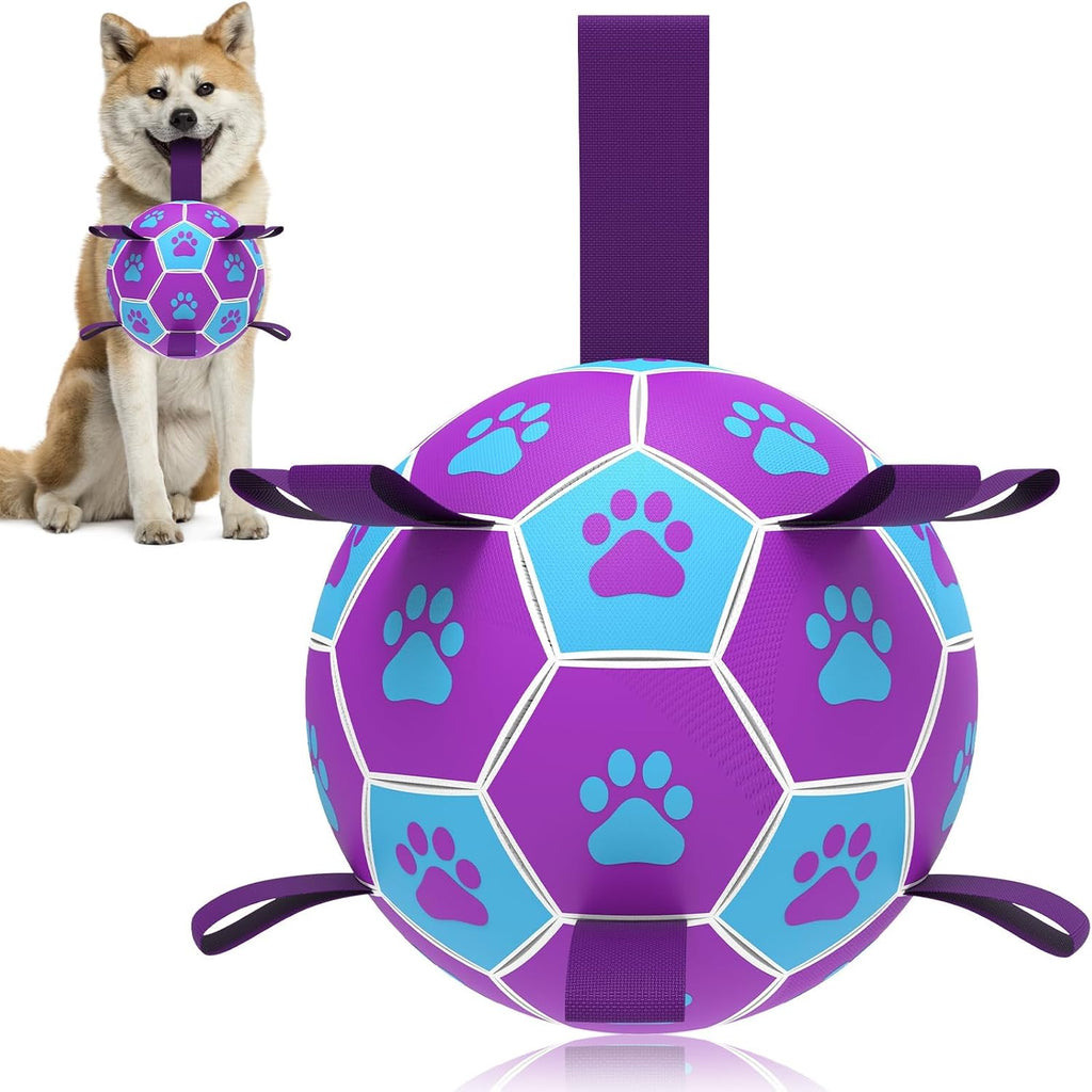 HETOO Hundeball 6" mit Griff fuer mittlere und grosse Hunde M-L lila/blau
