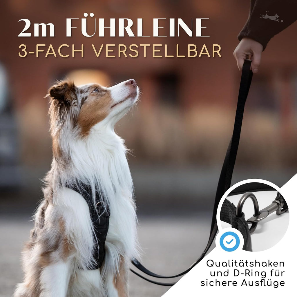 Freudentier Hundeleine Clyde 20 mm braun gepolstert verstellbar 2m
