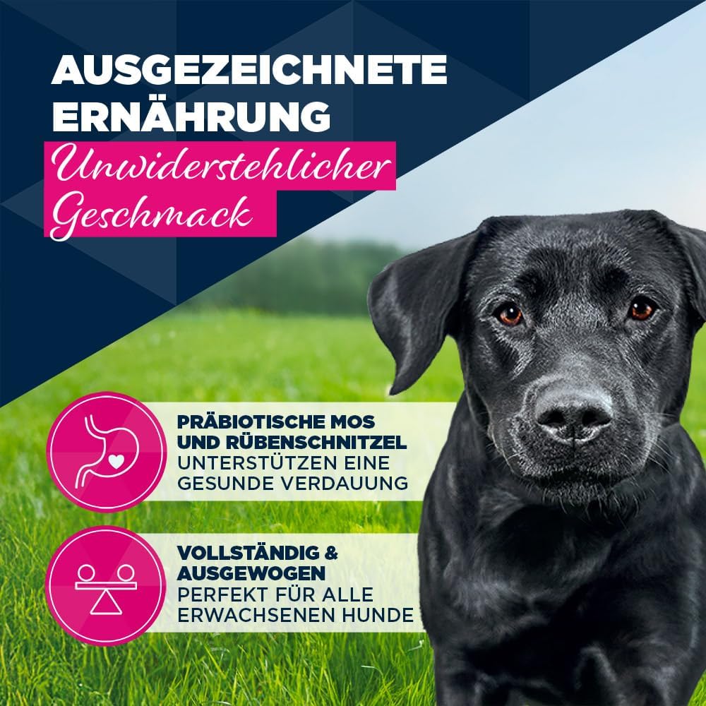 Hundefutter nass Rind Kürbis getreidefrei 6 x verschiedene Sorten