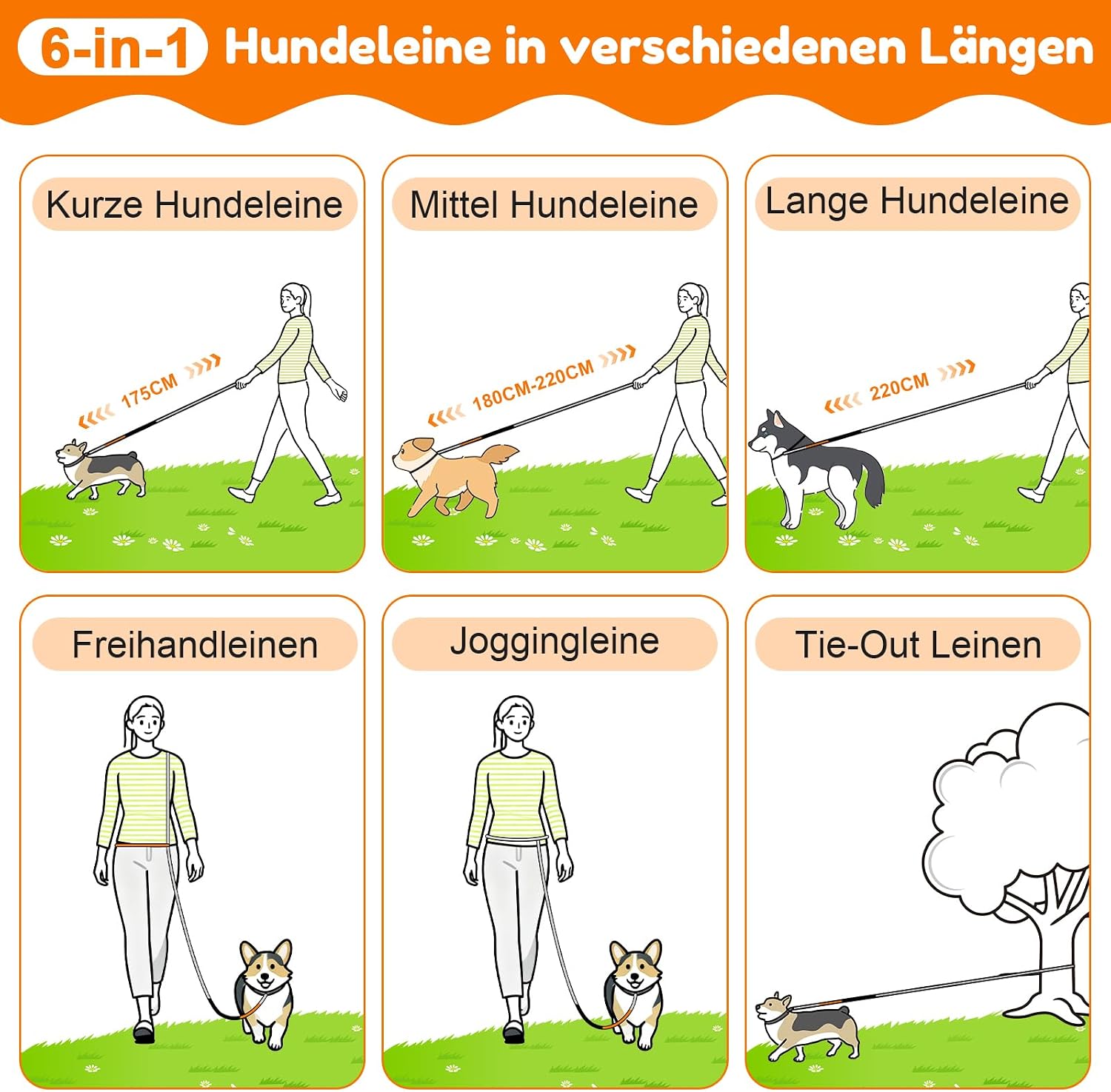 XBEN Joggingleine für Hunde 2,2m-2,35m mit Dualgriff Freihandleine