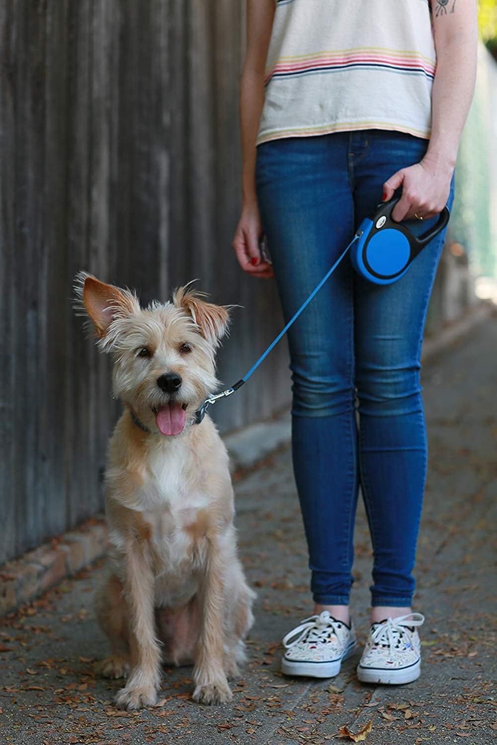 Taglory ausziehbare Hundeleine 5 m fuer kleine und mittelgrosse Hunde