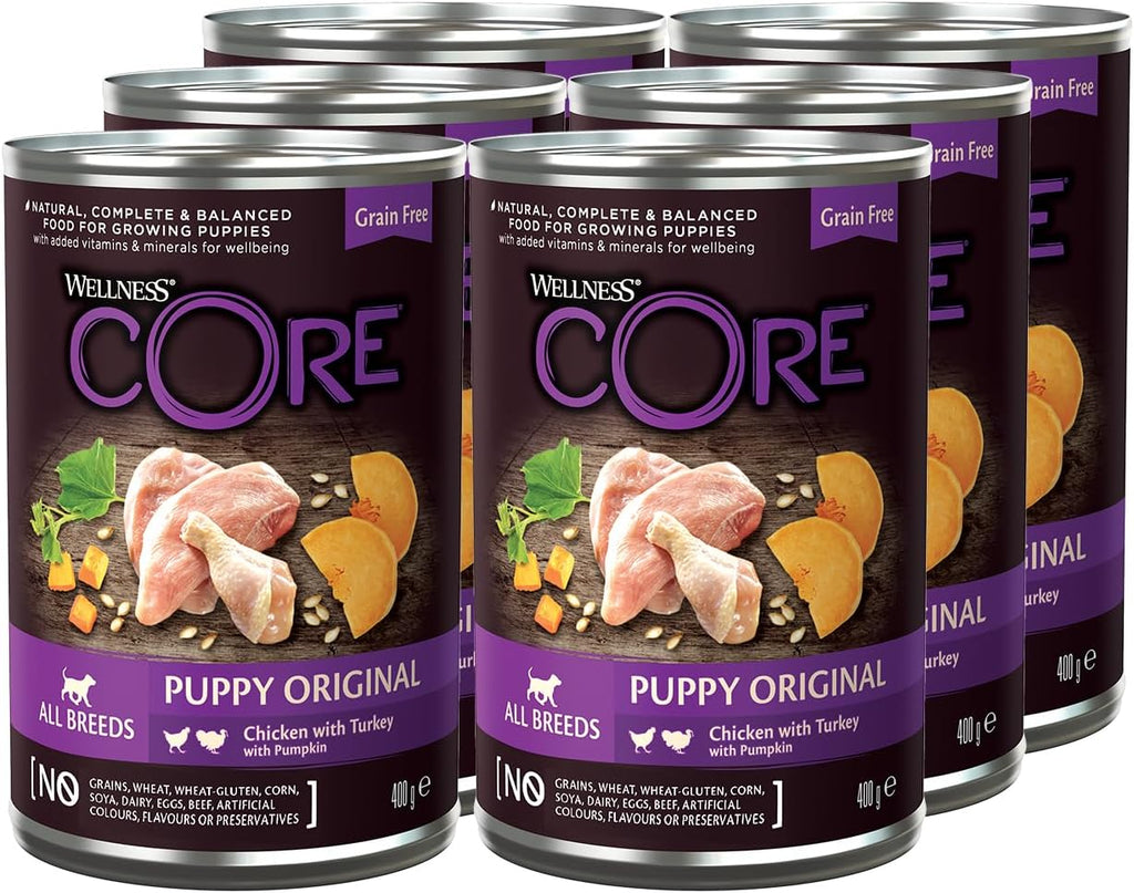 Wellness CORE Hundefutter Nass 6x400g Huhn & Truthahn Pastete